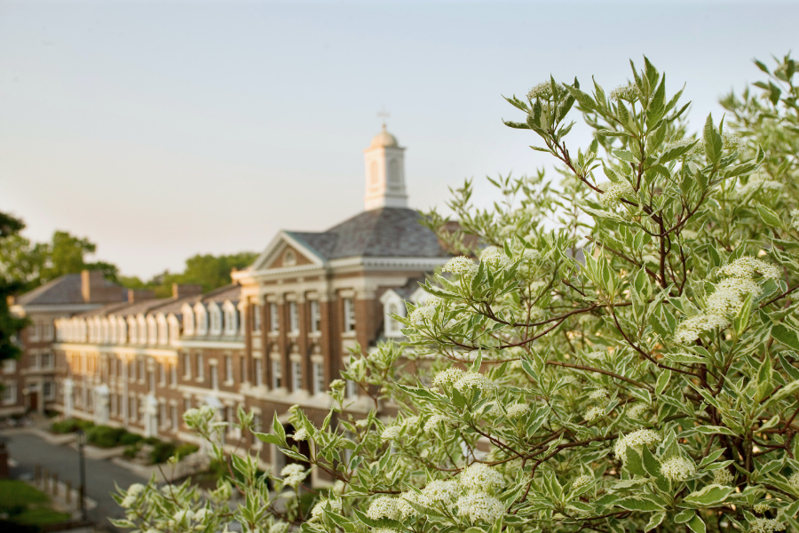 spring tree in front of cuppola